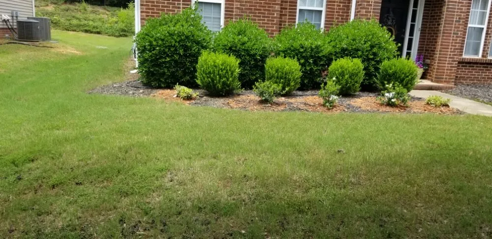 Affordable residential landscaping in Greenville, SC by Maceda Landscaping Services