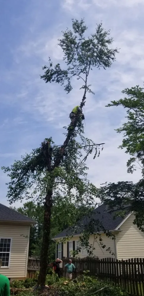 Expert landscaping services for residential properties in Greenville, SC by Maceda Landscaping Services