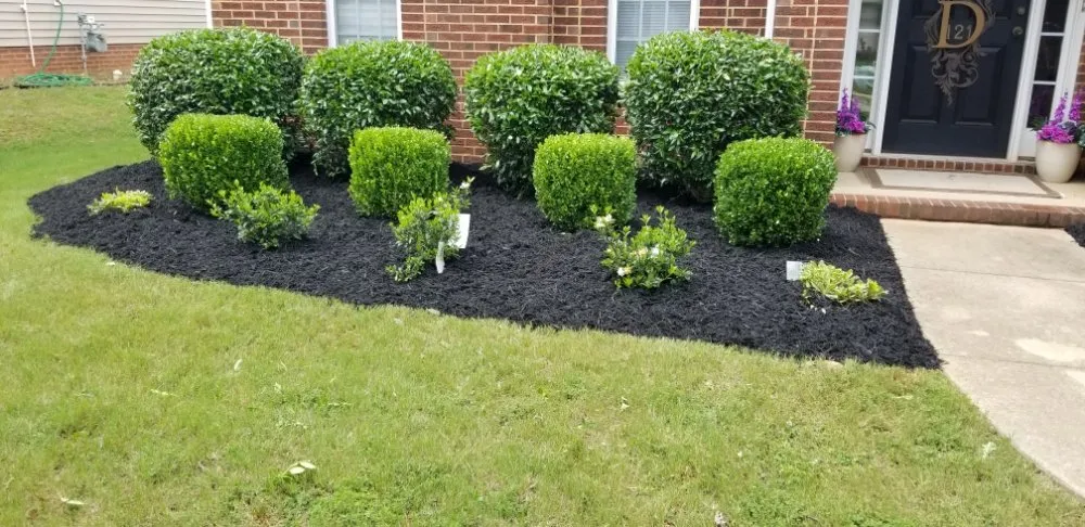 Trusted residential landscaping experts serving Greenville, SC - Maceda Landscaping Services