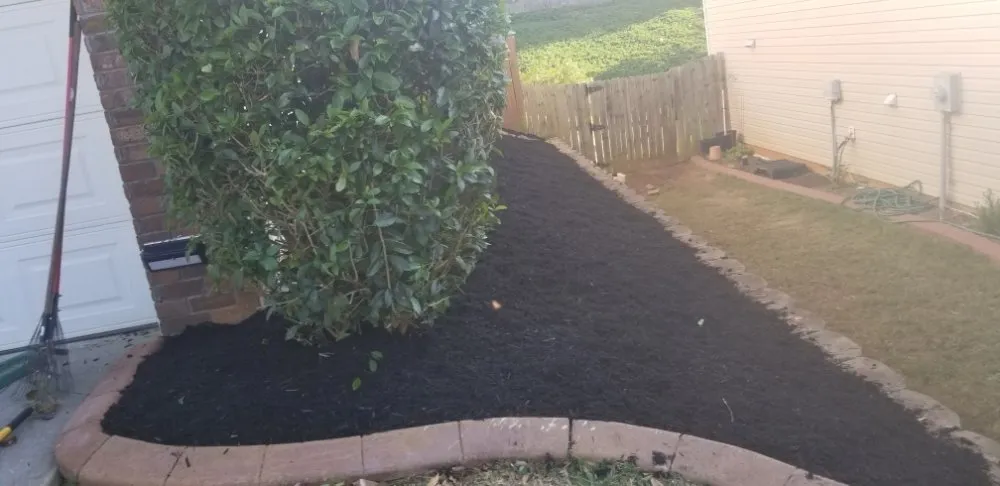 Affordable yard cleanup service in Greenville, SC - Maceda Landscaping Services