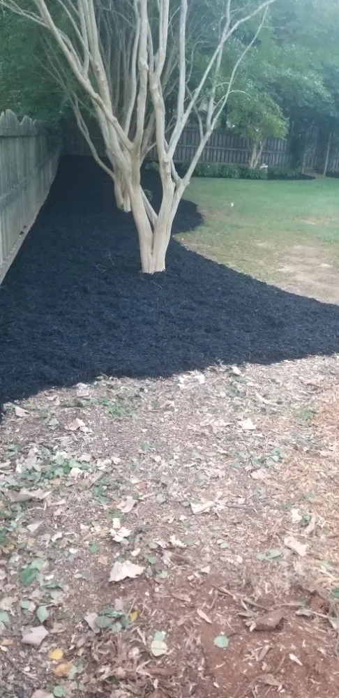 Local landscape installation with custom design across Greenville, SC - Maceda Landscaping Services