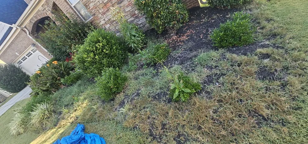 Custom landscape design in Greenville, SC by Maceda Landscaping Services