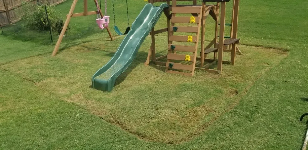 Local garden landscaping for year-round maintenance in Greenville, SC by Maceda Landscaping Services