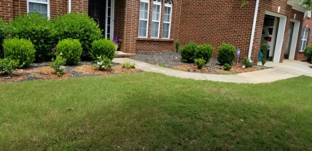 Local landscaping services near you across Greenville, SC - Maceda Landscaping Services