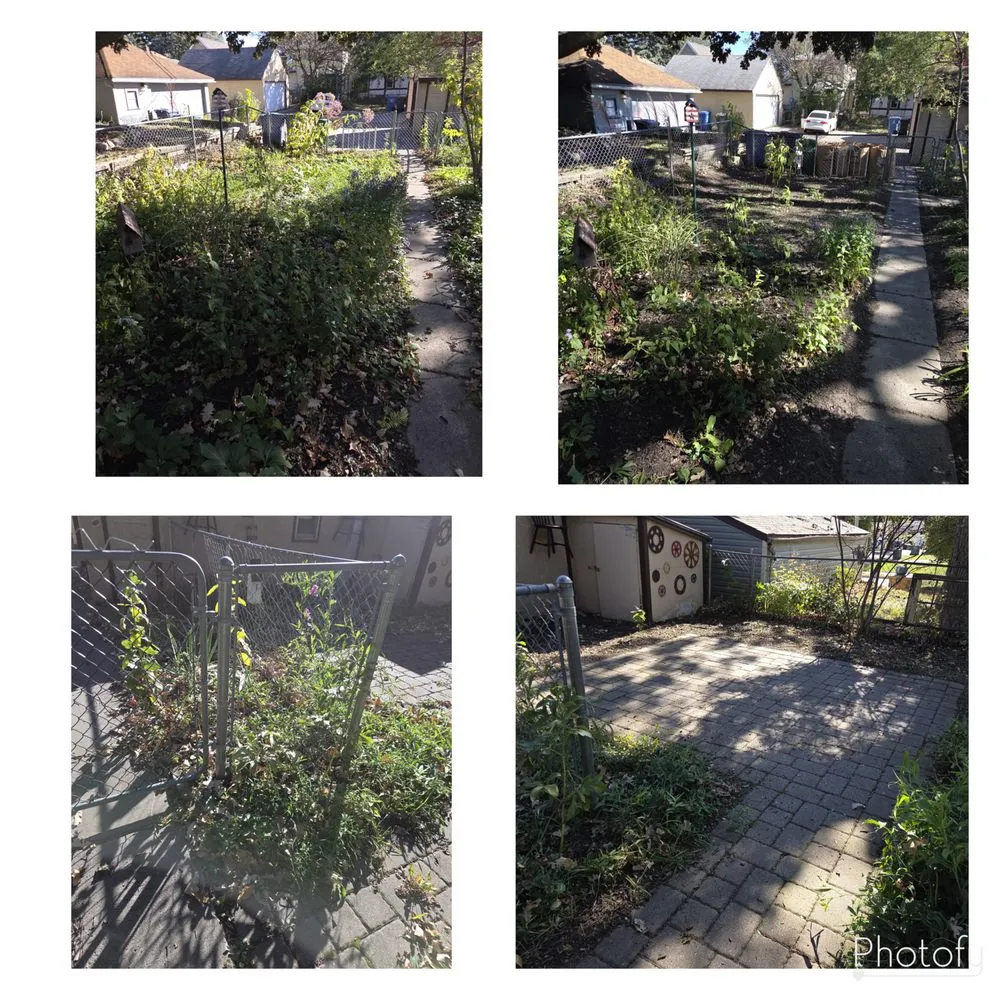 Top-rated landscape installation for outdoor upgrades in Minneapolis, MN by Macedo Home Maintenance