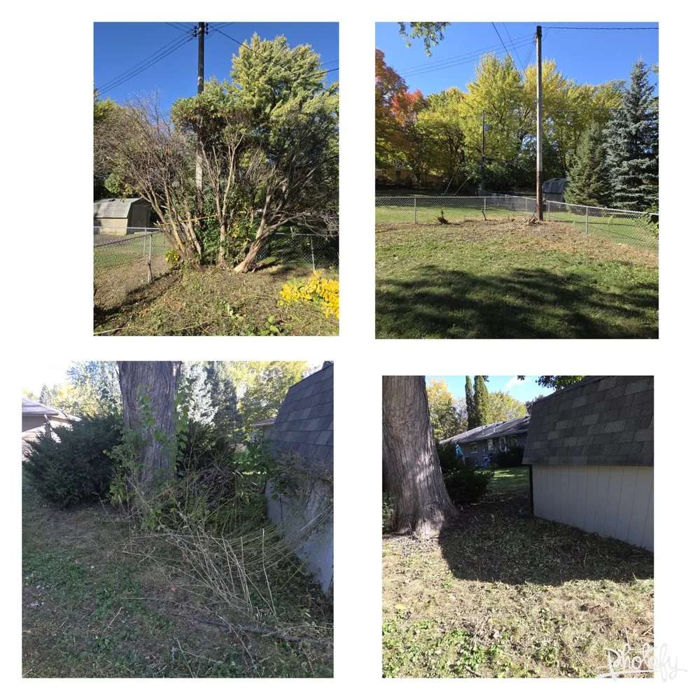 Affordable yard maintenance experts serving Minneapolis, MN - Macedo Home Maintenance