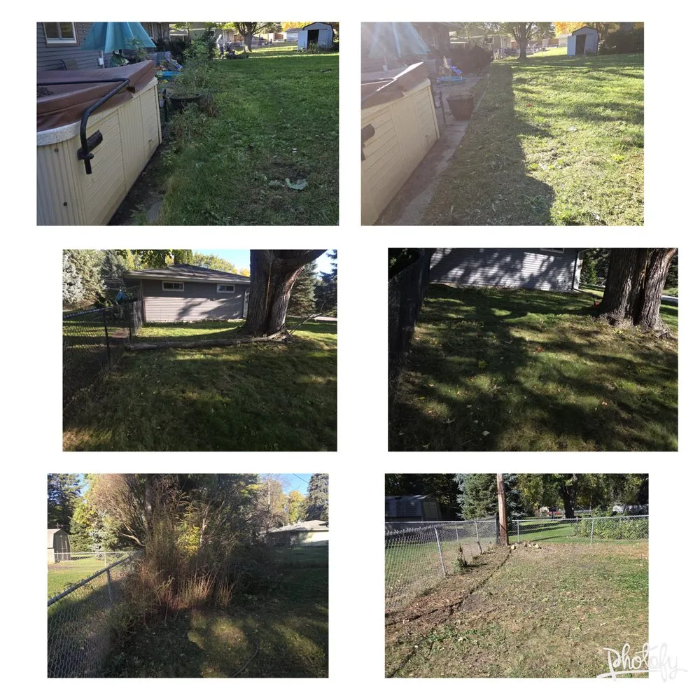 Local yard maintenance in Minneapolis, MN - Macedo Home Maintenance
