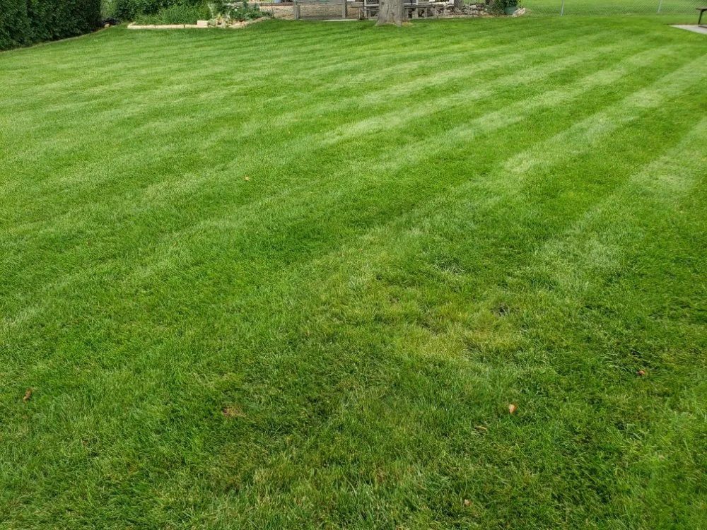 Trusted garden landscaping in Billings, MT - Mach 5 Services