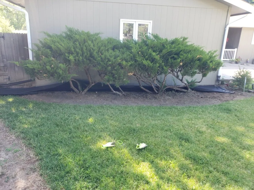 Affordable landscape installation in Billings, MT by Mach 5 Services