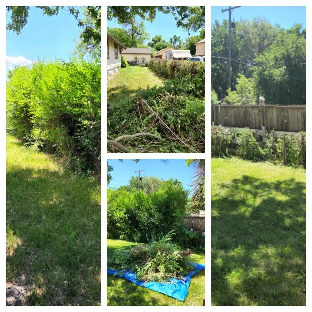 Reliable landscaping services experts serving Billings, MT - Mach 5 Services