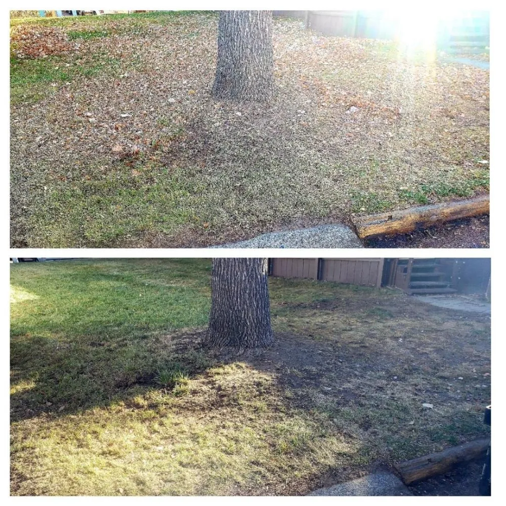 Affordable yard maintenance experts serving Billings, MT - Mach 5 Services