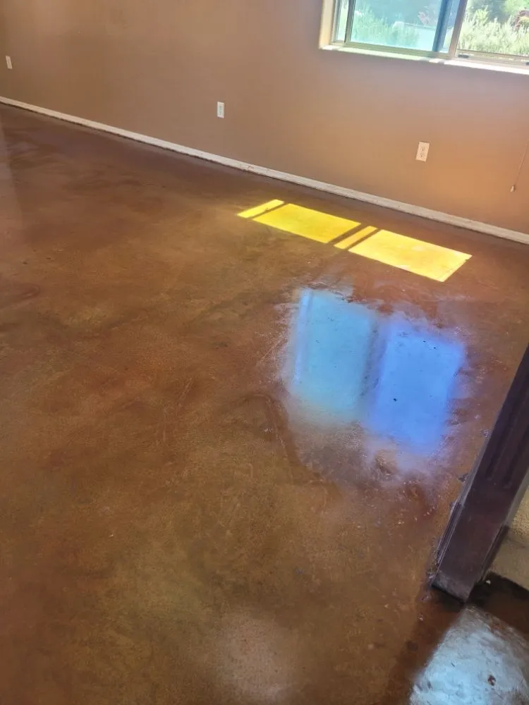 Professional outdoor landscaping in Tucson, AZ - Machado Brothers