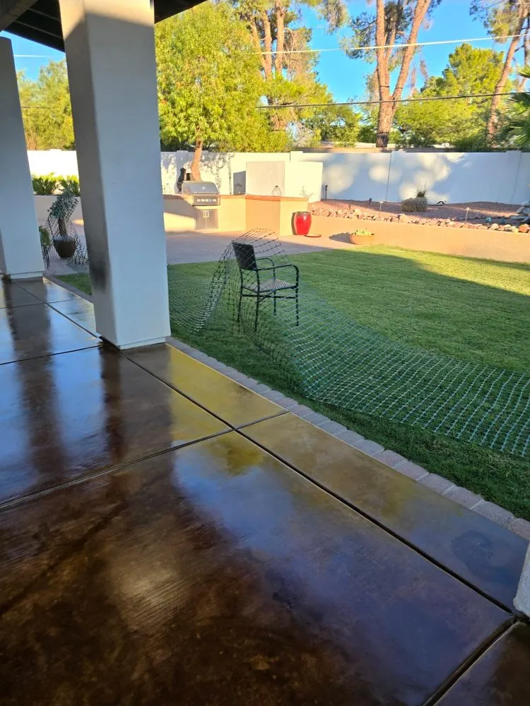 Local landscape installation in Tucson, AZ - Machado Brothers