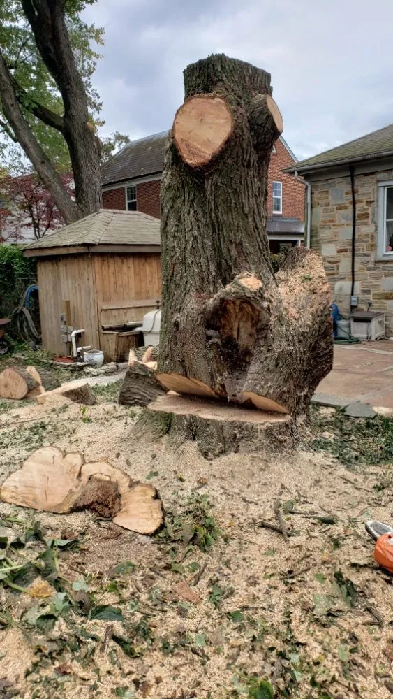 Top-rated landscape design in Owings Mills, MD - Machado Landscaping & Tree Services