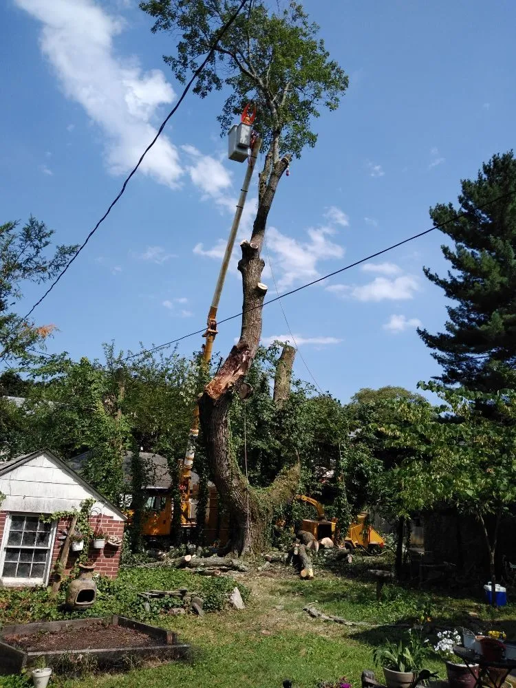 Top-rated landscape design for outdoor upgrades in Owings Mills, MD by Machado Landscaping & Tree Services