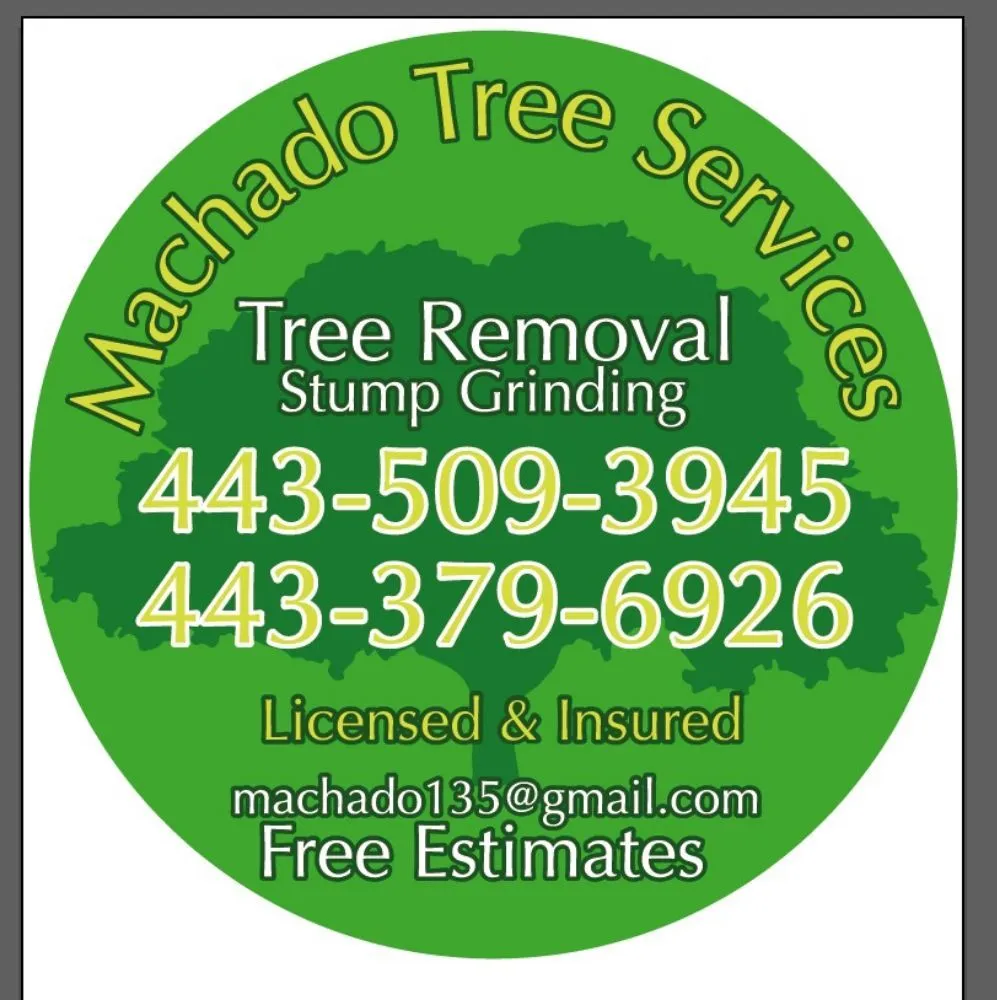 Top-rated garden landscaping for homes in Owings Mills, MD by Machado Landscaping & Tree Services