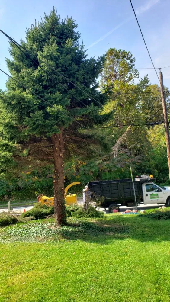 Trusted lawn care service for year-round maintenance in Owings Mills, MD by Machado Landscaping & Tree Services