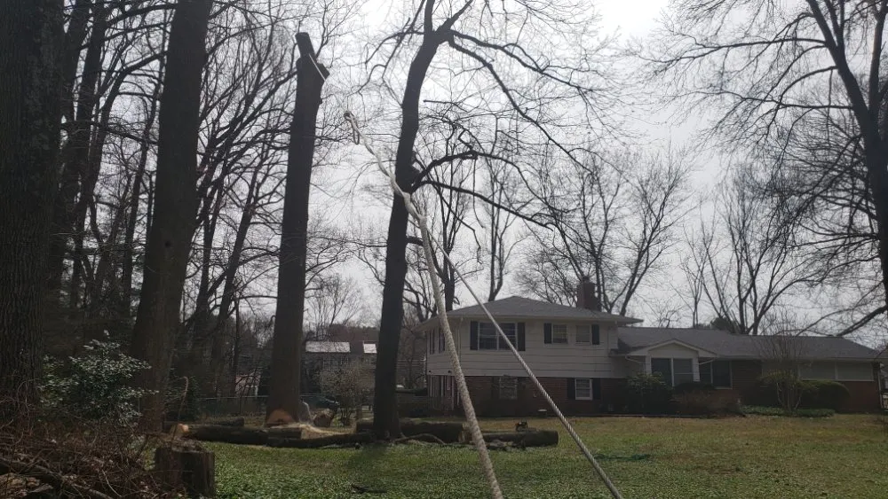 Local lawn mowing service in Owings Mills, MD by Machado Landscaping & Tree Services