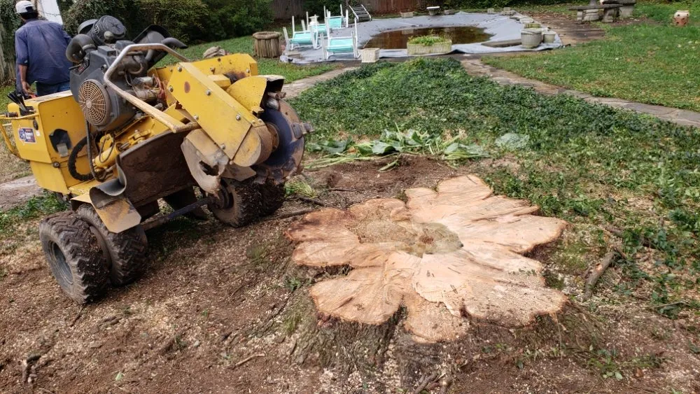 Reliable lawn mowing service in Owings Mills, MD by Machado Landscaping & Tree Services