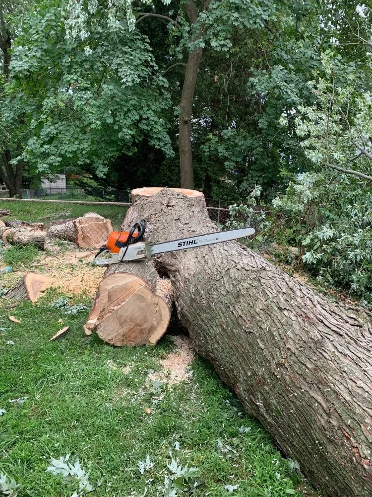 Top-rated landscaping services in Owings Mills, MD by Machado Landscaping & Tree Services