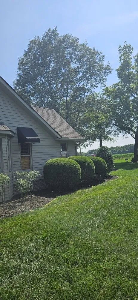 Trusted yard maintenance experts serving Boaz, KY - Machaen's Lawn Services