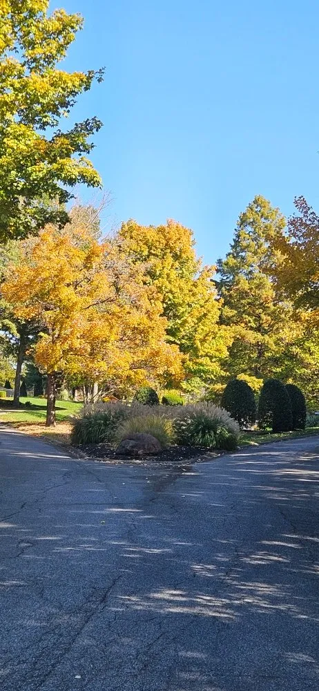Local lawn care service in Boaz, KY by Machaen's Lawn Services
