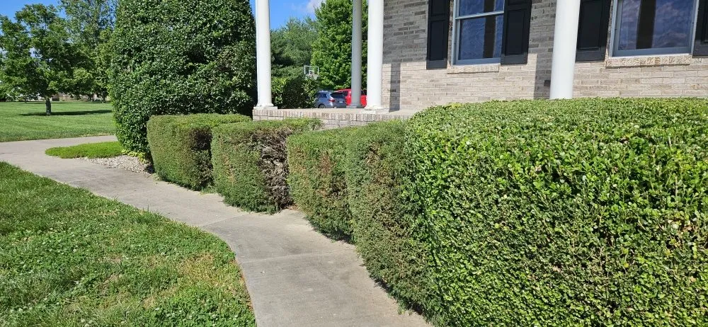 Reliable residential landscaping experts serving Boaz, KY - Machaen's Lawn Services