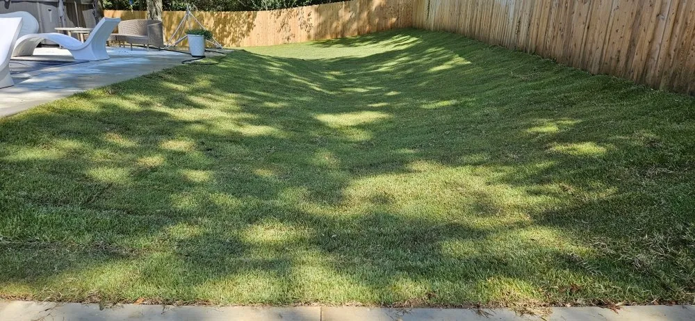 Local yard maintenance in Boaz, KY - Machaen's Lawn Services