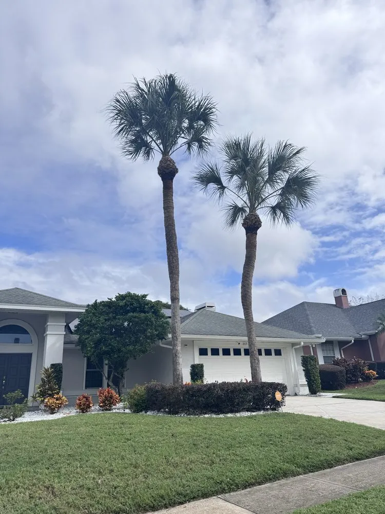 Custom garden landscaping near you in Orlando, FL by Machin Rojas