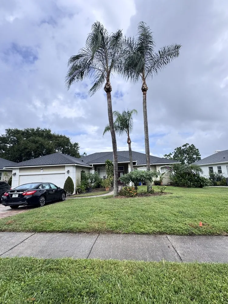 Affordable lawn care service in Orlando, FL by Machin Rojas