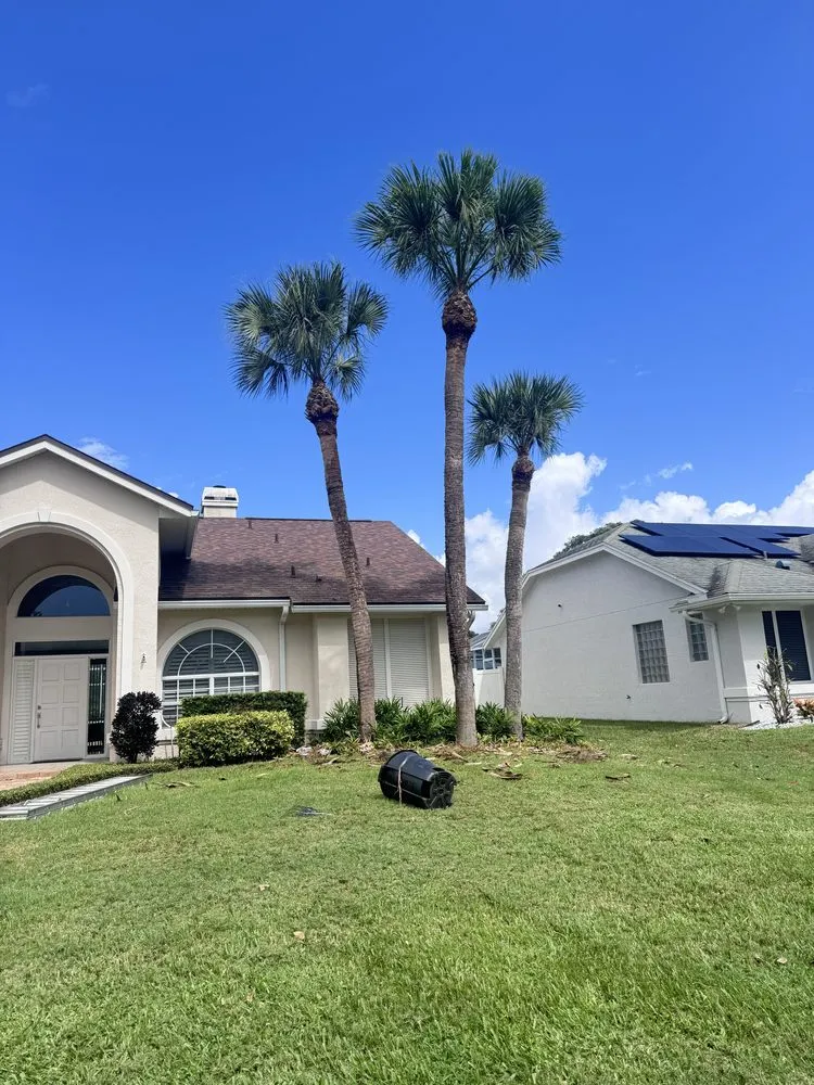 Expert yard cleanup service for beautiful yards across Orlando, FL - Machin Rojas