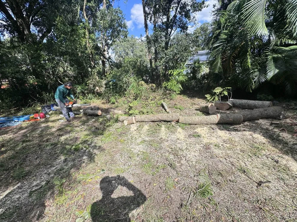 Custom landscape design experts serving Orlando, FL - Machin Rojas