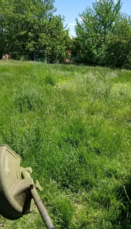 Custom lawn care service in Lincoln, NE by Machine Mowers