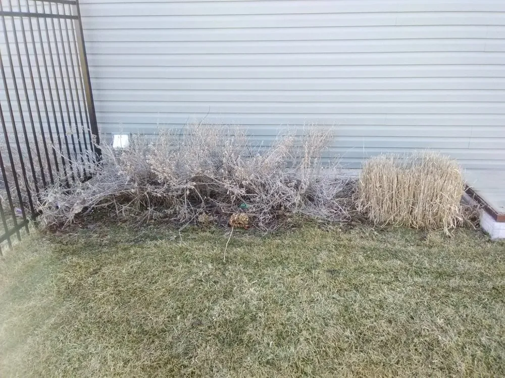 Top-rated residential landscaping for outdoor upgrades in Lincoln, NE by Machine Mowers