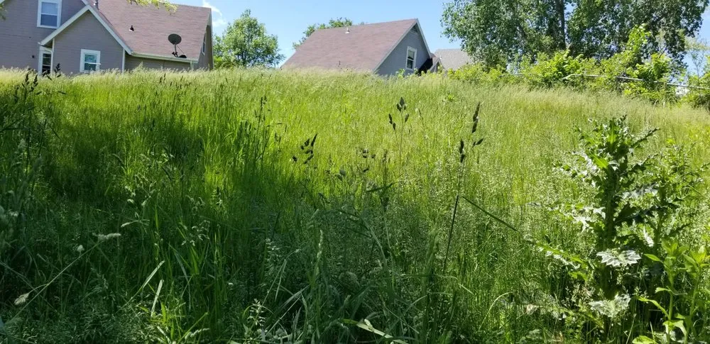 Expert yard maintenance in Lincoln, NE - Machine Mowers