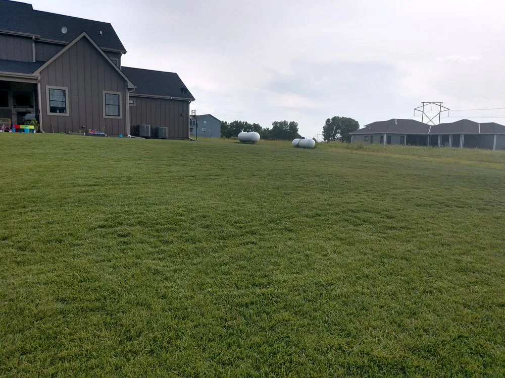 Top-rated yard cleanup service in Lincoln, NE by Machine Mowers