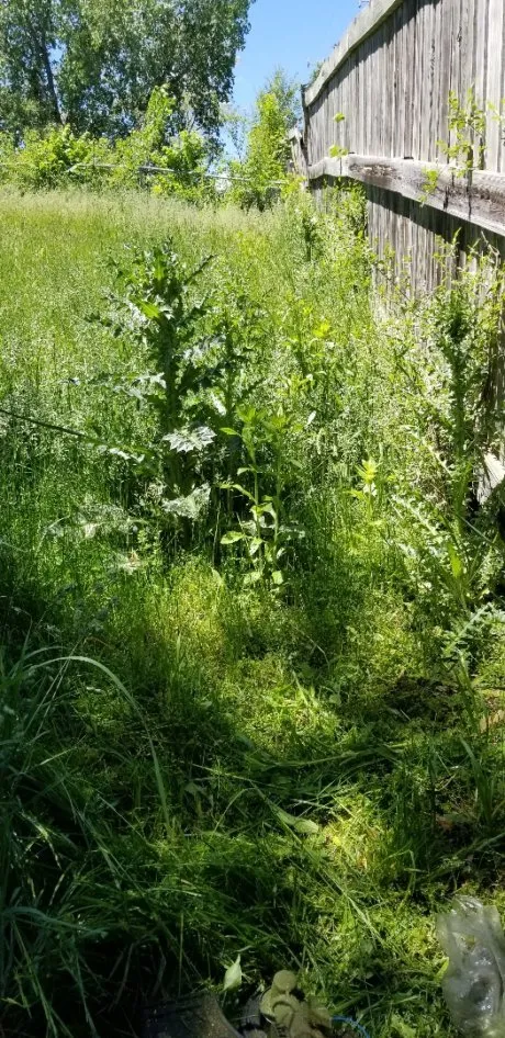 Reliable outdoor landscaping with custom design in Lincoln, NE by Machine Mowers