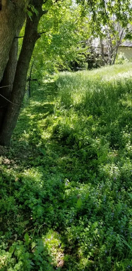 Trusted yard cleanup service for year-round maintenance across Lincoln, NE - Machine Mowers