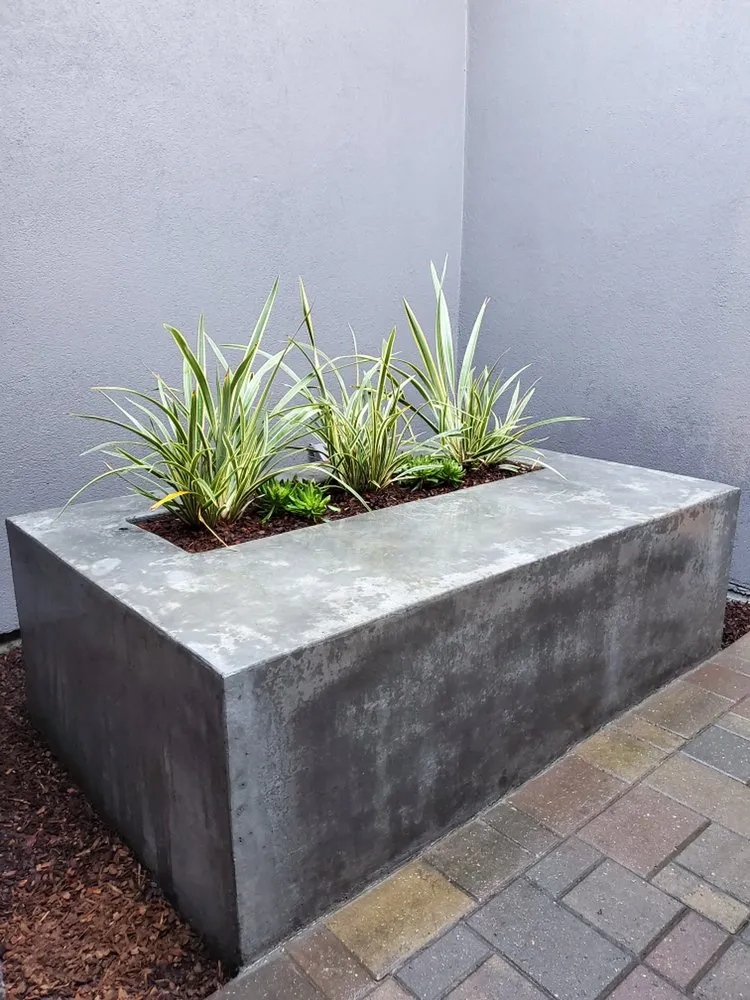 Top-rated landscaping services for year-round maintenance in Menlo Park, CA by Machtinger Landscaping