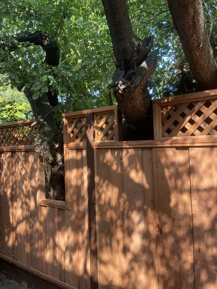 Reliable landscape installation experts serving Menlo Park, CA - Machtinger Landscaping