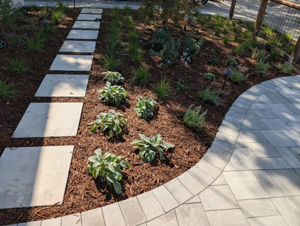 Top-rated yard cleanup service in Menlo Park, CA by Machtinger Landscaping