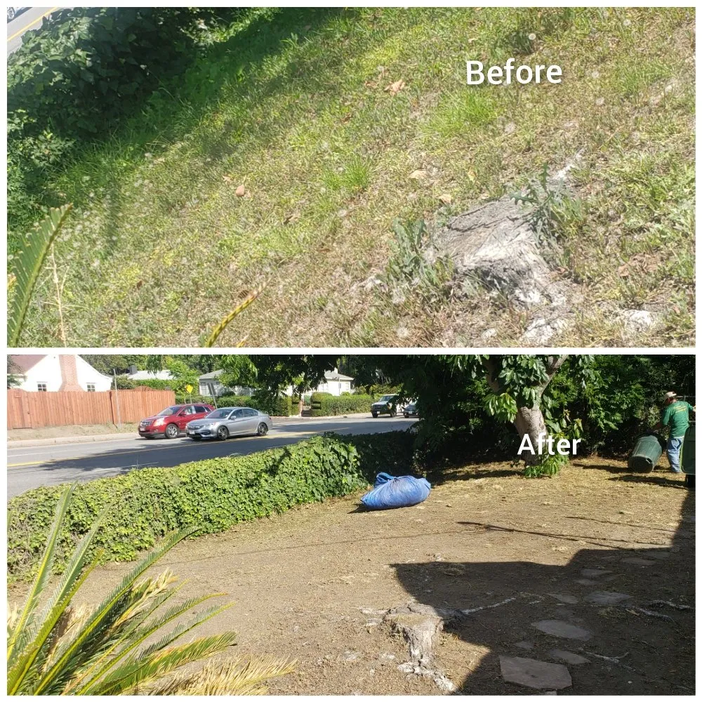 Custom garden landscaping in North Hills, CA by Macias Landscape