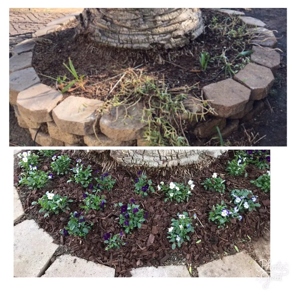 Professional landscape installation experts serving North Hills, CA - Macias Landscape