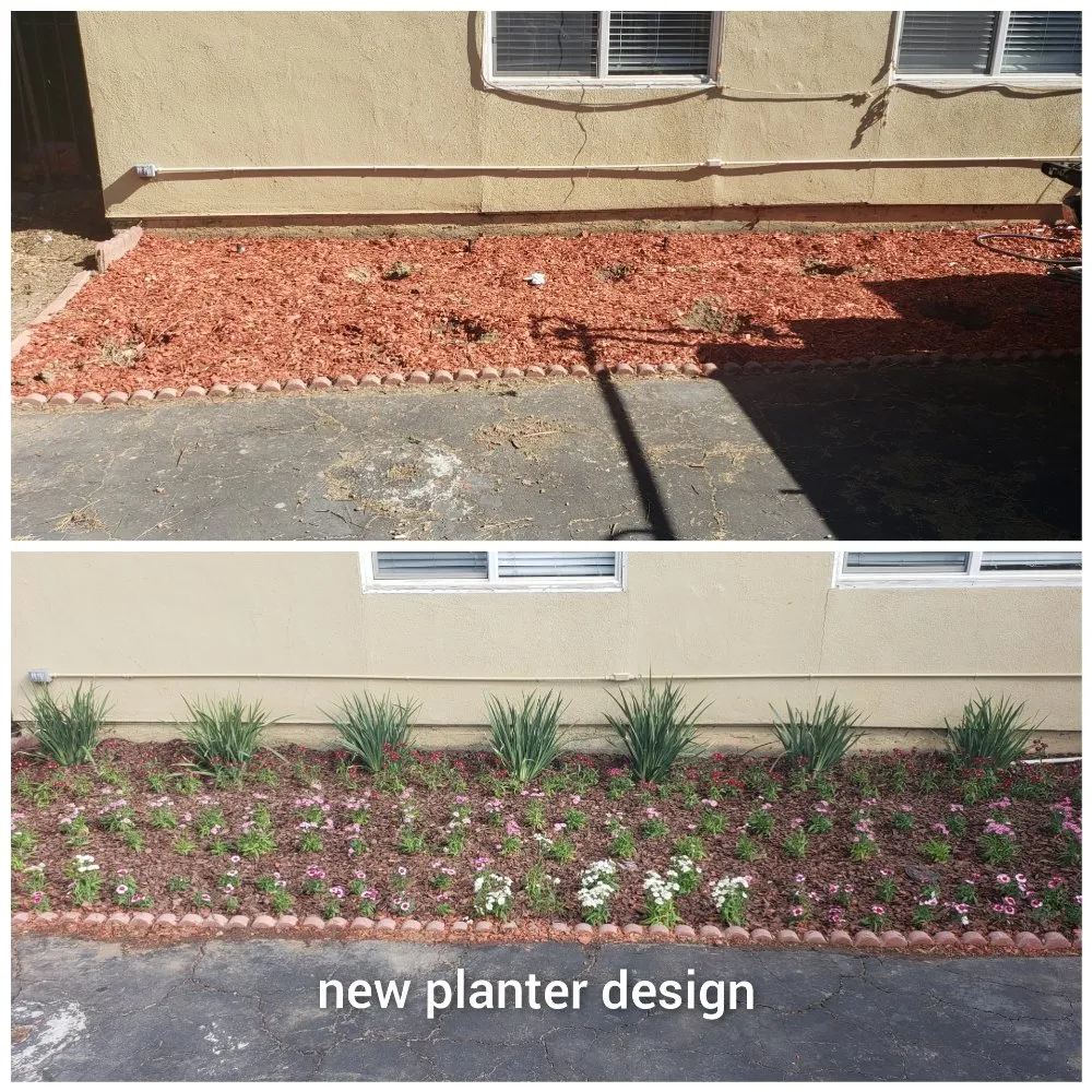 Reliable outdoor landscaping in North Hills, CA by Macias Landscape