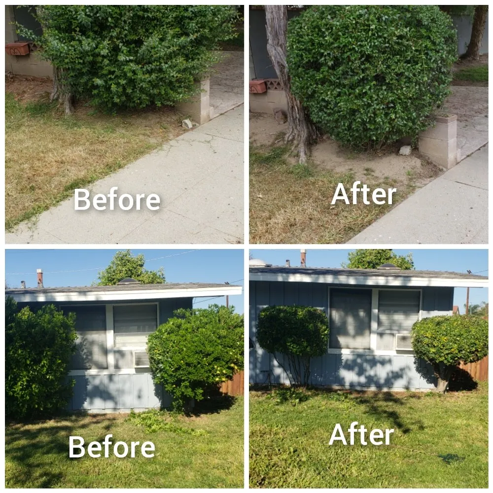 Local yard cleanup service experts serving North Hills, CA - Macias Landscape
