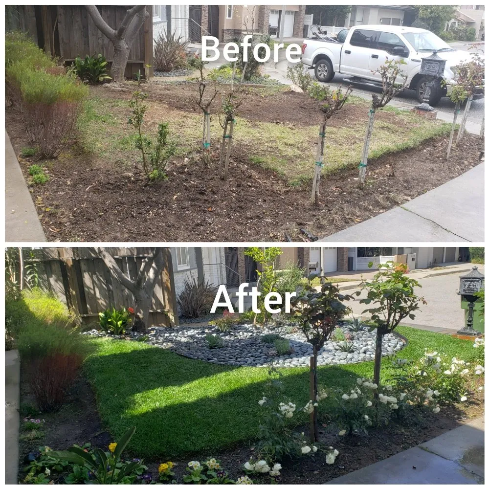 Local yard cleanup service experts serving North Hills, CA - Macias Landscape