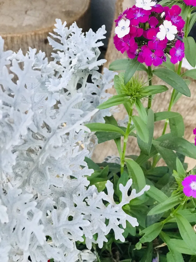 Reliable yard maintenance near you across North Hills, CA - Macias Landscape