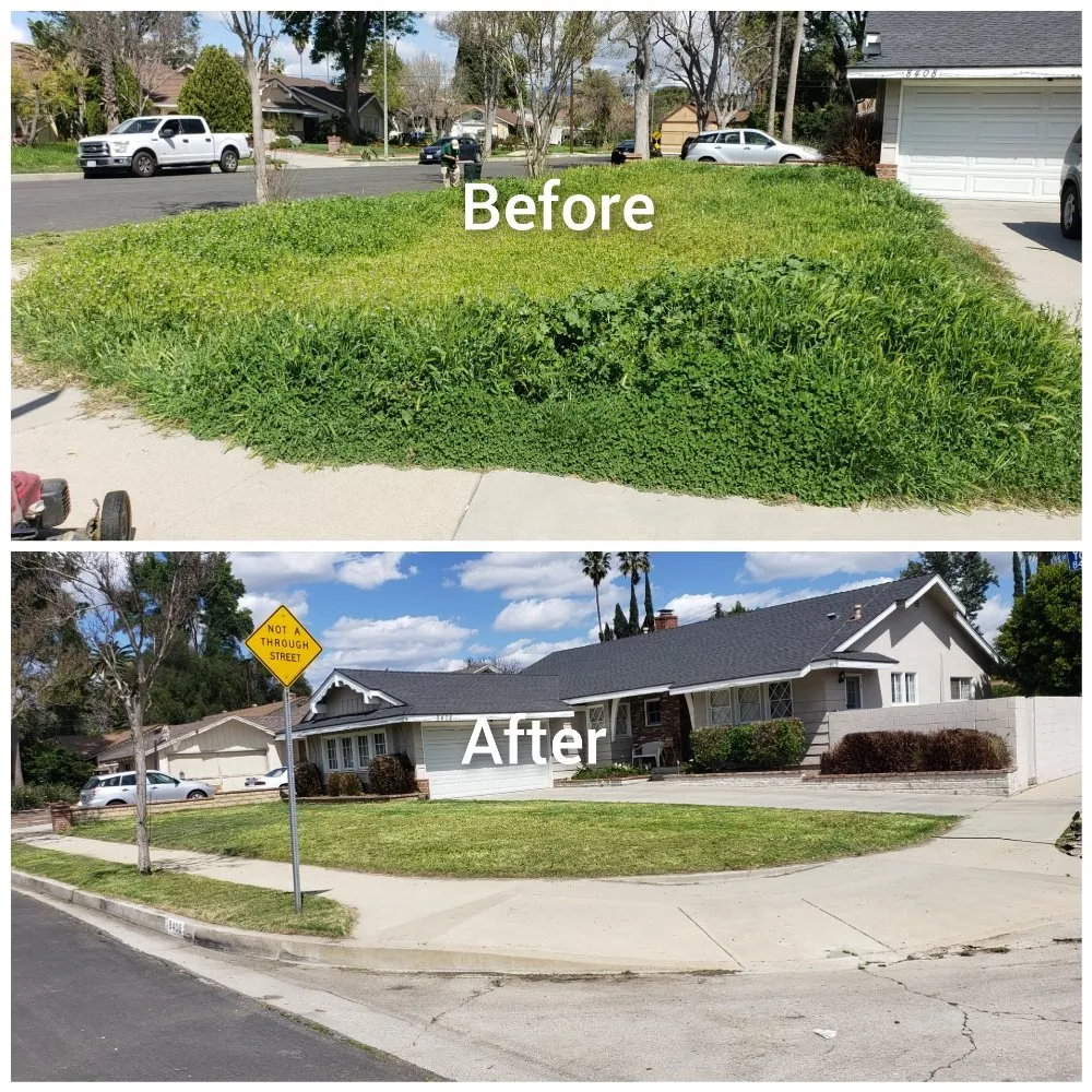 Custom landscape installation in North Hills, CA by Macias Landscape