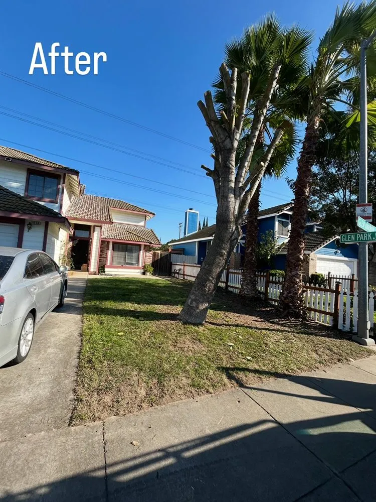 Local landscape design for homes in Ceres, CA by Macias Landscaping & Paving