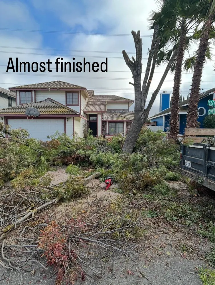 Professional residential landscaping near you across Ceres, CA - Macias Landscaping & Paving